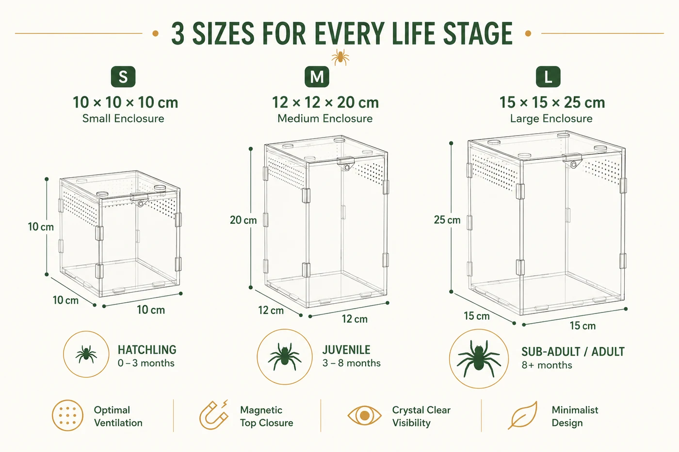 Size chart of ArachNest's three enclosures — 10x10x10cm, 12x12x20cm, 15x15x25cm — matched to jumping spider life stages