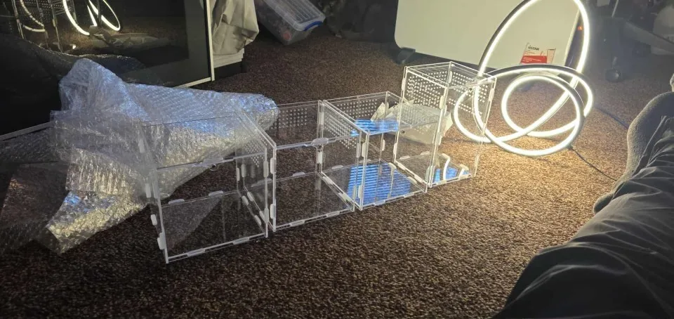 ArachNest jumping spider enclosure photographed by H***w, a verified buyer